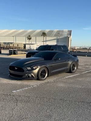 Sometimes is doesn’t feel real - - - - - - - - - - #fyp #cars #mustang #mustanggt #carsoftiktok #coyote #cartok #cartokhub.   #cars #s550mustang #fordmustang #mustang_freakzz #mustangsofinstagram #550only #americanmuscle #mustangclub #fordperformance #mustangweek #mustangnation #worldwidestangs  #fordmustang #carsofinstagram  #mustangsdaily #stangnation