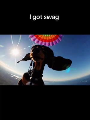 Swag the $SYNDOG flying high this weekend #syndog #dachshund #meme #dogsoftiktok #ai #sora 