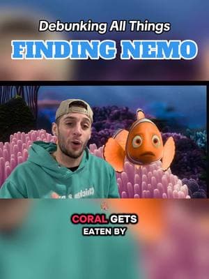 I hope I didn’t slap your childhood too hard #findingnemo #disney #coralreef #oceanlife 