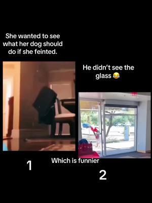 lol 2 lol 👏🏽  * FunnyVideos *  * #FunnyVideos * 		#Comedy * 		#Hilarious * 		#Laughs * 		#Humor * 		#LOL * 		#Jokes * 		#Pranks * 		#FunnyMoments * 		#StandUpComedy * 		#ViralHumor * 		#Giggles * 		#LaughOutLoud * 		#Silly * 		#FunnyClips * 		#Cringe * 		#EpicFail * 		#Haha * 		#FunnyAnimals * 		#Bloopers * 		#ROFL * 		#FunnyVines * 		#Memes * 		#CrazyLaughs * 		#Humorous * 		#ComedyGold * 		#FunnySkits * 		#JokesOfTheDay     * 		#SideSplitting *  * #funny #funnyasf #funnyash. #watchedtwice #omg #really  * #toocute #whosbabyisthis #lovethis #twerks #funniestvideosever #funniesttiktoks #thisisfunnytho #funnyfunnyfunny #unbelievable		#Comedy * 		#Hilarious * 		#Laughs * 		#Humor * 		#LOL * 		#Jokes * 		#Pranks * 		#FunnyMoments * 		#StandUpComedy * 		#ViralHumor * 		#Giggles * 		#LaughOutLoud * 		#Silly * 		#FunnyClips * 		#Cringe * 		#EpicFail * 		#Haha * 		#FunnyAnimals * 		#Bloopers * 		#ROFL * 		#FunnyVines * 	k	#Memes * 		#CrazyLaughs * 		#Humorous * 		#ComedyGold * 		#FunnySkits * 		#JokesOfTheDay     * 		#SideSplitting *  * #funny #funnyasf #funnyash. #watchedtwice #omg #really  * #toocute #whosbabyisthis #lovethis #twerks #funniestvideosever #funniesttiktoks #thisisfunnytho #funnyfunnyfunny #unbelievabley