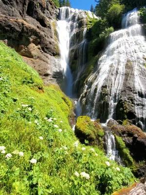 Exploring hidden gems off the beaten path!💎🥾⛰️  In the trail map photo of our adventure, that wild trek we set out on didn't quite lead us to our intended destination!😅 We were about a mile down the river and out of view of the waterfall.🤦‍♀️ We had to go back to camp, cook up some yummy steaks over the fire to refuel our energy, and have another go at it the next day!😋 We went down a different way and made it the 2nd time to this majestic multi-segmented cascade!😎  That's just how the wind blows sometimes!🌬 Such detours are all part of the adventure!😊 We always scout waterfalls on maps beforehand, but the terrain can look so different on the overview of the maps than the reality on the ground! Maps like @caltopo offer a more accurate glimpse of what you're going up against, helping you better prepare for the challenges ahead. Off-trail excursions to waterfalls can be rugged, as we discovered, but the reward is always worth the effort!🤗  Curious to learn more about our off-trail waterfall hunting techniques? Follow us for more off the beaten path tips and adventure inspiration!🌿🥰 Once you dive in, it's hard to resist the thrill of the hunt!🤤  Remember to always pack the ten hiking essentials for any excursion, just in case! Prepare as if you might wander off the trail — it happens to the best of us!😄 Intentionally or unintentionally!😜  What are your must-have items that you never hike without?🚶‍♂️🚶‍♀️ #hiddengems #hiddengem #hiddentreasure #offtrail #trek #trekking #bushwacker #waterfall #waterfalls #waterfallchasing #waterfallchaser #chasingwaterfalls #waterfallhunting #waterfallhunter #adventure #adventurecouple #adventurecouplegoals #adventureenthusiasts #adventurepartner #AdventureGear #adventureseeker #adventureseekers #Hiking #hikingadventures #offthebeatenpath #offthebeatentrack #hiddenbeauty #explore #exploremore #discover 