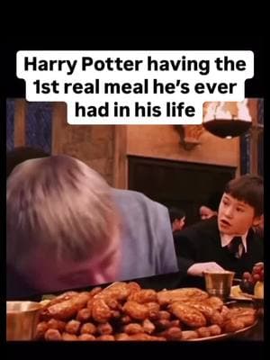 You good bro??😅 #hogwartsfeast #harrypottertiktok #harryronandhermione #chamberofsecrets #tomriddle #deatheater #avadakedavra #roomofrequirement #dumbledoresarmy #orderofthephoenix #severussnape #professorsnape 