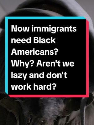 Now immigrants need Black Americans? I thought we didn't "work hard"? #blackcommunity #blackcommunitytiktok #BlackTikTok #blacktiktokcommunity #fyp #acabdevil #fatheracab #fba #foundationalblackamerican #duetthis #stitchthis #fbatiktok #nativeblackamerican #nativeblackamericantiktok #blackamerican #blackamerica #blackamericantiktok #karma 