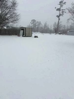 Snow storm in Louisiana is a memory we will remember forever! 🥶❄️ love this little life of mine! #sneauxday #louisiana #lsu #holstrength #family #snowballfight #snowsledding #memories #2025 #CapCut @Wood_1776 