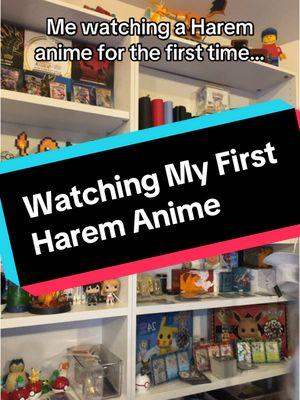 Watching my first harem anime… #fyp #animefyp #fypanime #animes #animeedit #animetiktok #animegirl #animeharem #harem #naruto #sao #hxh #demonslayer #onepiece #saoforever #swordartonline 