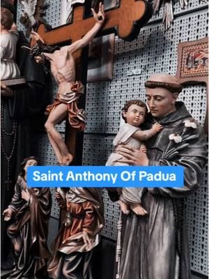 #onthisday #saintanthony #catholic #catholictiktok  #paduaitaly #italy #italia #catolica #catolico #cattolic #cattolico 