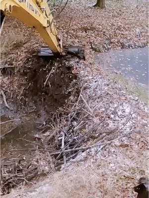 #unclog #unclogging #beaverdam #removal #mechanical #excavation #uncloggingdrains #drainplug #poop #pipes #satisfying #oddlysatisfying #asmr #fyp #fypage #viralvideo #foryou 