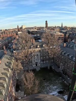 Six hours of footage condensed down to 6 minutes.   This is Harvard in boston #petzl #Boston #treestuff #cranework #treeclimber #arborist #treeremoval #massachusetts #bluecollar #howtocranetreeremoval #chipping #harvarduniversity #Harvard 