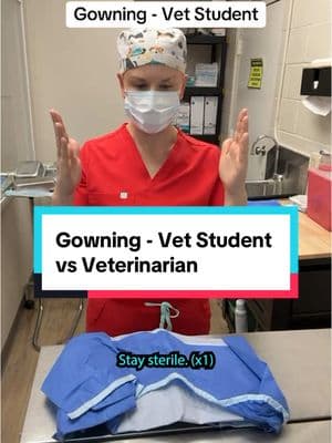 Only slightly less traumatic than learning to put sterile gloves on… 😅 #vetmedfun #vetmedreality #vetschool #veterinaryschool #vetstudentlife #vetstudents  #veterinaryhumor