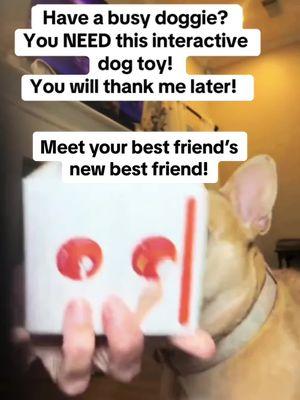 Our girl LOVES this interactive dog ball. It keeps her entertained for hours. So lovely!  It is in & out of stock so grab yours!  #dogtoy #frenchielovers #frenchiesoftiktok #interactivedogtoys 