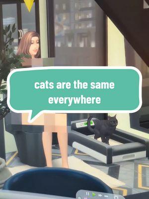 cats are the same everywhere #thesims4 #thesims4gameplay #ts4 #simstiktok 