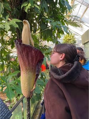 until next time smelliot. #rip #corpseflower #flowers #nyc #brooklyn #botanicalgarden @Hope <3 @nadia @alexa ⚔️🕊 