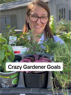 Anyone else crazy for gardening? Please tell me I’m not alone.  #gardening101 #gardeninspiration #growyourownfood #containergardening #creatorsearchinsights 