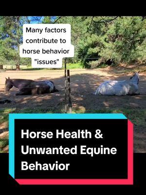 Horse Health & Unwanted Equine Behaviors #alternativehorsemanship #horsehealth #horse #horsebehavior 