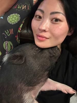 cuddles #minipig #piggy #cuddles #fyppppppppppppppppppppppp 