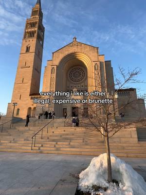 #washingtondc #basillica #fyp #arlington #mardigras #foryoupage #real #relateable #1 #repost #504 #louisiana #doritosflatlife #makemefamous #january #mfl 