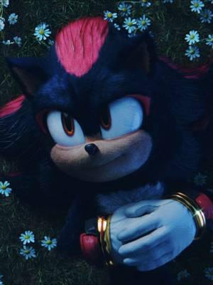 the light shines, even though the star is gone 💫 #sonicmovie3 #sonic #fyp #sonicthehedgehog #sega #shadowthehedgehog #sonicedit #sonicthehedgehogedit #sonicthehedgehogedits #sthedit #sth #shadow #shadowedit #movie #movieedit #shadowthehedgehogedit #sonadow #sonadowedit #shadowthehedgehogedits #sonicandshadow #maria #mariarobotnik #mariaandshadow #mariarobotnikedit #edit #edits #fypシ #foryoupage #videogames #videogame #beautiful 