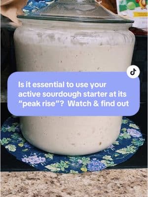 Fed sourdough starter and when you should pull from it to make bread 🥖 #inmykitchen #sourdoughclub #sourdoughtok #sourdough #cottagecore #homemadebread #sourdoughbaking #sourdoughstarter #sourdoughstartertips #sourdoughfeeding 