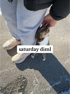 saturday in my life 💓 #Vlog #saturday #diml #timestamped 