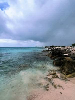 Beauty of Bonaire #travel #traveltiktok #bonaire #divesite #fyp #fypシ #travelinspo #vierka0221 #comeseawithvierka #scuba #diving 