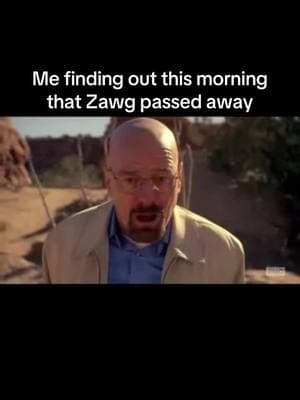 Chat I’m so depressed #fyp #zawgandschlawg #breakingbad #krackheadkara 