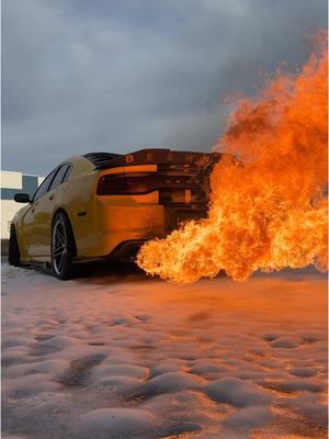 Icy Inferno ❄️😈🐝🔥 #dodge #charger #srt #srt8 #superbee #mopar #hemi #v8 #392 #american #muclecar #horsepower #speed #explore #reels #carsoftiktok #viral #1of1 #build #fast #v8hub #fire #exhaust #flames #flamethrower #fyp #fypシ #trending #bee 