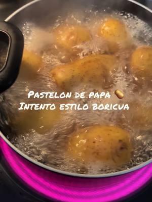 #paratii #family #puertorico🇵🇷 #mexico🇲🇽 #pastelon #foodtiktok #comidaboricua #enlamadre 