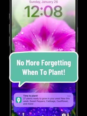 Just got this notification from the Seed to Spoon app! Looks like I need to get busy planting!!!  Mark your plants you want to be reminded about as favorites and we’ll help you remember when to plant them! I know I need this reminder!! 😂  #gardenapp #growfood #growyourfood #growyourownfood #gardening #growingfood #vegetablegarden #fromseedtospoon #seedtospoon #growfoodnotlawns 