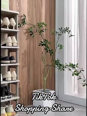 Great folding and storage shoe rack #OlsaSüperOlur #fyp #amazonprimevideo #amaznmusicproudheroes #amazon2024 #fypシ゚viral🖤tiktok #amazongadgets #fypシ゚viral #tiktokers #amazonmusicjinglebelltok #fouyou #fypage #fypdongggggggg #amazon #2024amazonfinds #TikTokShop #tiktokshopfinds #tiktokshopcybermonday #tiktokshopblackfriday #tiktokshopping 