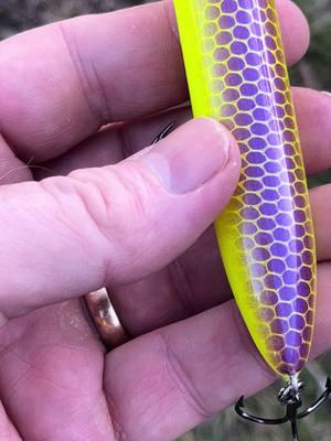 Top water spook! Chartreuse with purple back! Link in bio! #fyp #walshhogcustombaits #lurepainting #fishinglure #share #like #follow