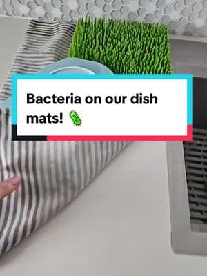 I love this absorbent dish drying mat. It's so much cleaner than using bacteria filled towels all the time.  #absorbanttowel #dishtowel #dishtowels #kitchentowel #kitchenfinds #KitchenHacks #valentinesdaygift #tiktokshopcreatorpicks #TikTokShopJumpStartSale #giftguide #tiktokshopjumpstartsale #valentinesdaygiftideas 