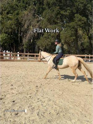 Let’s do some flat work on Bailey #equestrian #horseriding #horsegirl #equine #horsesoftiktok #horsetok #englishriding #ridinglesson #hunterjumper #palomino #quarterhorse #aqha #fypシ 