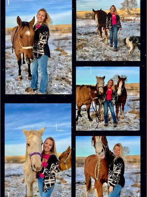 Gotta get the horses in photos 😍 #5photoschallenge #creatorsearchinsights #fyp #foryoupage #trend #western #blonde #northdakota #montana #cattle #equestrian #cattledog #country