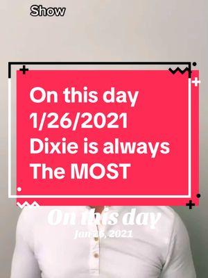 #onthisday Dixie is always the MOST… #dixiejeauxbelle #dogsoftiktok #georgous 