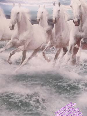 Poster White Horse  Pictures For Animal Print  Wall Art #TikTokShop #whitehorse#creatorsearchinsights #fypシ゚viral🖤tiktok #fypシ゚viral #poudela #viralvideo #hors @Astha (Ap) 