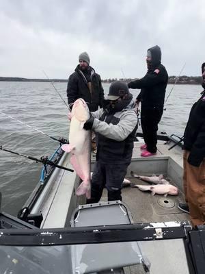 🐳 #grandlakeoklahoma #bzguideservice #Outdoors #catfishing #seaarkboats #usa🇺🇸 #fyp #onem #fishing #fun @Meat Hunter Rods @SeaArk Boats @Smackdown Rod Holders @FISHING AL GA LINE @Tyler King 