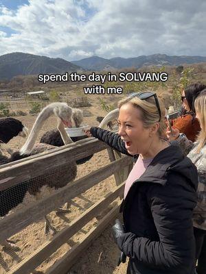 Whirlwind adventures in Solvang: Danish vibes, electric rides, and ostrich magic in the heart of California! 🚗🏘️🐤 Small town, big memories with my favorite people. Sometimes the quickest trips are the sweetest. ✨ #familytime  #Solvang #CaliforniaDayTrip #DanishTown #FamilyTravel #WeekendAdventures #SolvangCalifornia #OstrichLand #SmallTownVibes #CaliforniaTourism #RoadTrip #FamilyMoments #trending 