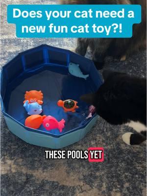 The cat pool toy will keep your cats busy for hours ☺️ #cat #catsoftiktok #cattok #cattoys #cattoy #catpool #catwatertoy #kittentoys #catenrichment #interactivecattoy #tiktokshopfinds #spotlightfinds #fyp #tiktokshopjumpstartsale 