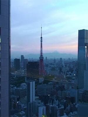 Tokyo tower + Mount Fuji  #aesthetic #japan #devonhendryx #fyp 