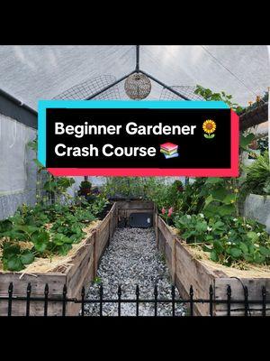 Replying to @lickety.splitz Here is a crash course for 🌻 Beginner Gardeners 📚 #Gardner #Gardening #gardeningtips #beginnergardener #homesteader #homesteading #bookrecs  #learnfromme #fyp 