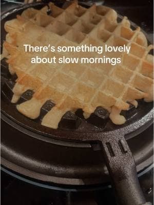 Slow mornings are my favorite. Just taking it easy and making waffles #slowmorning #slowday #breakfast #waffles #castiron #flourmill #freshflour #milledflour #appalachiancastiron @Breville #mockmill #espresso #breville 