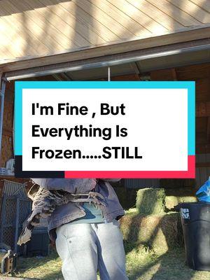 Who is done being a icicle? #imdoingfine #freeze #freezingtemps #farmlife #idaho #pacificnorthwest #smalltown 