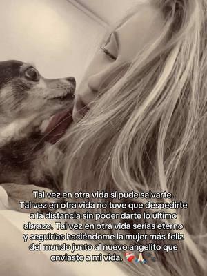 Tal vez en otra vida serías eterno ❤️‍🩹  #dog #doggone #sentimental #dogsoftiktok #dogmok #doglover #doglife 