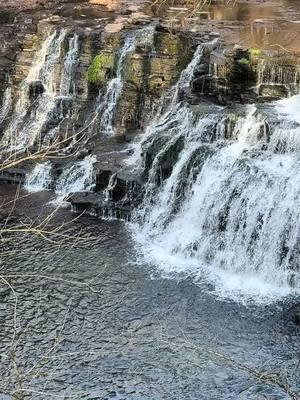 #rutledgefalls #waterfall #waterfalls #beautiful #tennessee #viral_video #waterfallsoftiktok #viral? #easttn #tennesseecheck #viralvideo #fypシ #viraltiktok #viralllllll #thatview 