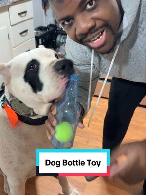 This dog bottle toy is so cute! 🥰 I gotta get some more while they’re still on sale. #dog #dogtoy #dogsoftiktok #TikTokShopLastChance  #TikTokShopNewYearNewAura #spotlightfinds