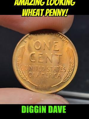 Beautiful Shiny Wheat Penny! #coins #coin #coinrollhunting #coinrollhunt #fyp  #treasure  #coincollecting #coinfamily #coinsworthmoney #checkyourchange #silver #diggindave #foryou #crh #coolcoins #money #pennies #wheatcent #cent #penny 