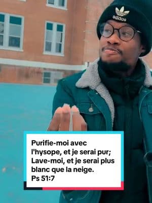 Purifie-moi avec l'hysope, et je serai pur; Lave-moi, et je serai plus blanc que la neige. Psaumes 51:7. #psaumes51:7#levanjil #haitiantiktok🇭🇹 #levanjilsantibon #labible #haitiantiktok #haitian 