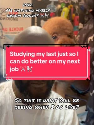 #greenscreenvideo POV: Me studying my last groom so I can do better on my next groom ✂️🐩 #reggiescissorhand #mobilegroomingdallas #tiktoklegend #dfwmetroplex #dallasfortworth #mobilegroomingdfw #poodlesoftiktok #studywithme 