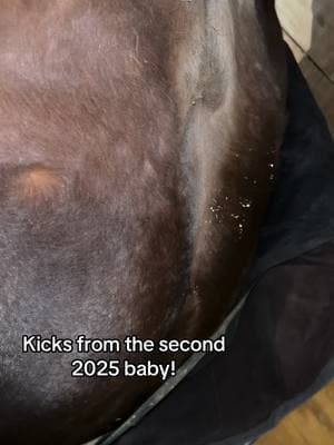 We can’t wait for this foal! This baby will be a full sibling to 2022’s foal, Sheza Secret Rose AKA Hermione! Hermione came out perfect in every way so we are thrilled to see what this cross will give us this time! Rose To Genesis x VenusInSpots #fyp #foryoupage #foryou #horses #horse #horsesoftiktok #torgersonfarms #torgersonfarmsperformancehorses #western #painthorse #cute #foal #stallion 