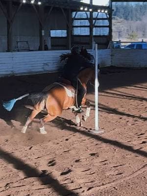 Dolls put together a nice low 23 sec pole run to end the series with, definitely had to work for it but had a blast 😂 #horsetraining #prettyhorse #patternedhorseracing #cutehorse #barrelracing #burnssaddlery #arabianhorse #gradehorse #kayequine #dunhorse #arabiancross #polebending #hackamore 